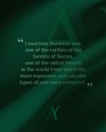 عود بورمي  ترابل سوبر - Image 2