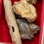 عود فلبيني ليتي صك قديم ( 85  جرام )