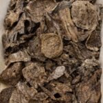 عود كمبودي قديم فاخر