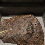 عود صيني تربل سوبر نوادر ( 28 غرام )